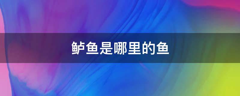 鲈鱼是哪里的鱼 鲈鱼是哪个地方的