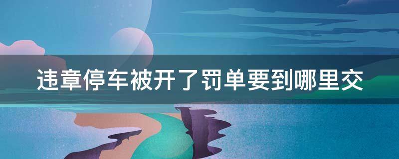 违章停车被开了罚单要到哪里交 违章停车被开罚单处理流程