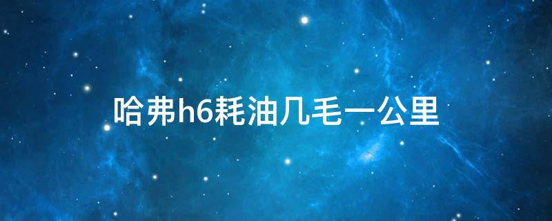 哈弗h6耗油几毛一公里（哈佛h6油耗1公里几毛）