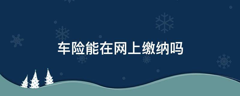 车险能在网上缴纳吗 车险在网上能交吗