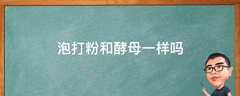 泡打粉和酵母一样吗 酵母跟泡打粉一样吗?