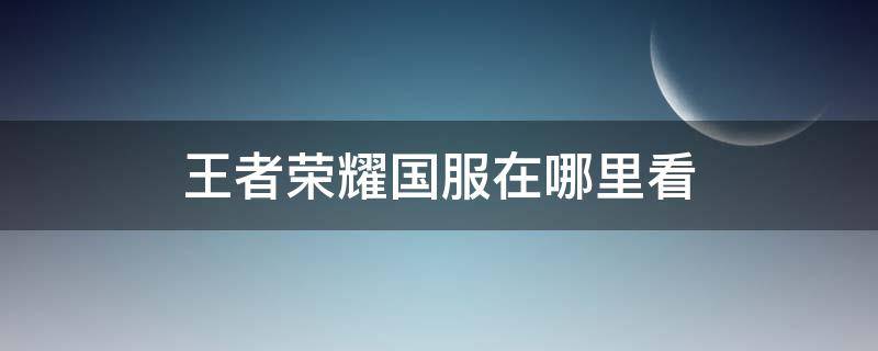 王者荣耀国服在哪里看（王者荣耀看国服在哪看）