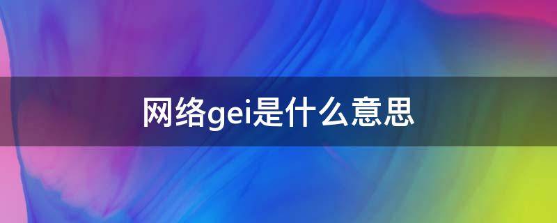 网络gei是什么意思（gei是什么意思）