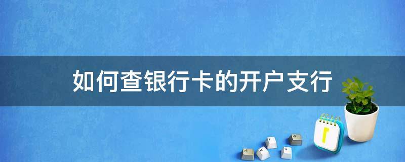 如何查银行卡的开户支行 怎样查银行卡的开户支行