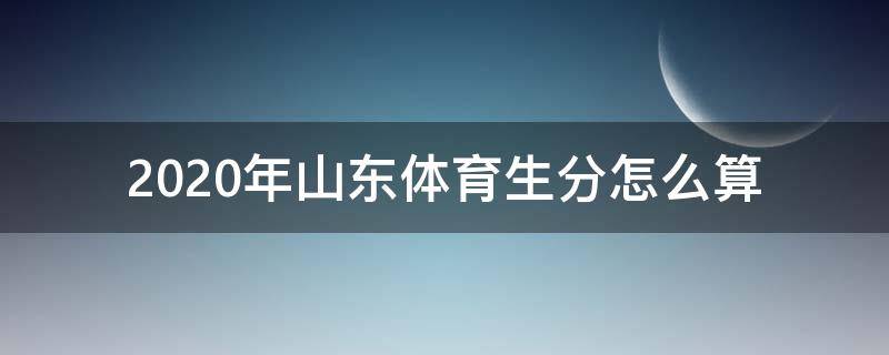 2020年山东体育生分怎么算（山东体育生分数线2020）