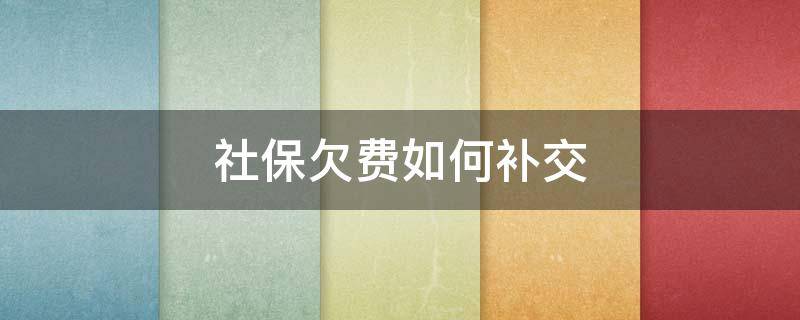 社保欠费如何补交（社保欠费怎样补交）