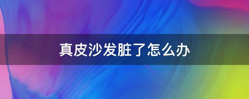 真皮沙发脏了怎么办 皮沙发弄脏了怎么办