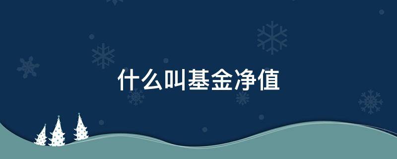 什么叫基金净值 什么叫基金净值举例说明