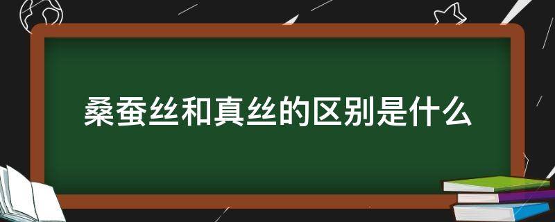 桑蚕丝和真丝的区别是什么 真丝与桑蚕丝有什么区别