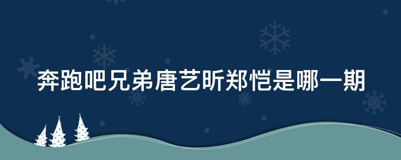 奔跑吧兄弟唐艺昕郑恺是哪一期（奔跑吧兄弟郑凯唐艺昕是哪一期）