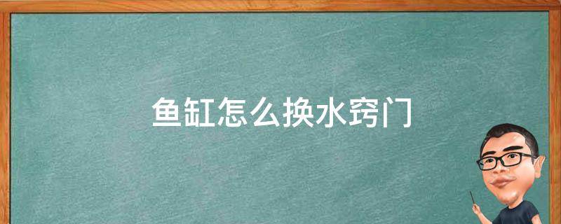 鱼缸怎么换水窍门 如何给鱼缸换水妙招