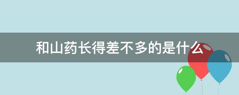 和山药长得差不多的是什么 和山药长得很像的有什么