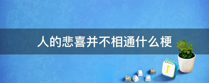 人的悲喜并不相通什么梗 其实人的悲欢并不相通