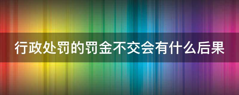 行政处罚的罚金不交会有什么后果（行政处罚罚金不交会怎么样）