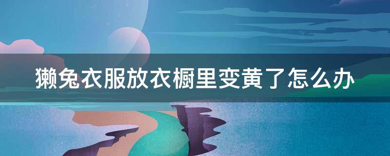獭兔衣服放衣橱里变黄了怎么办（獭兔衣服放衣橱里变黄了怎么办呢）