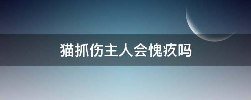 猫抓伤主人会愧疚吗（猫咪抓伤主人会愧疚么）