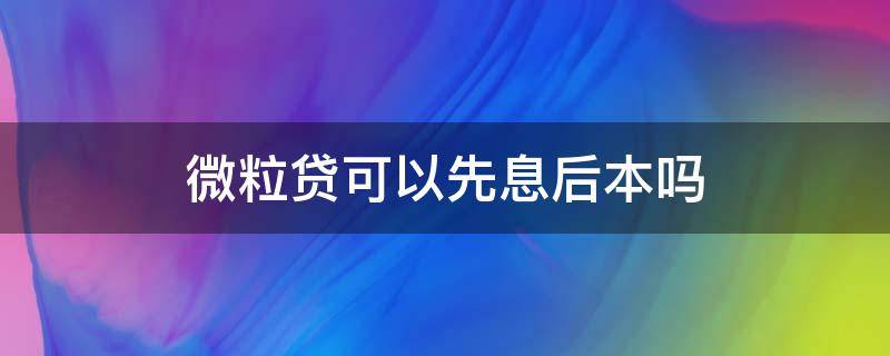 微粒贷可以先息后本吗 微粒贷可以先息后本吗?