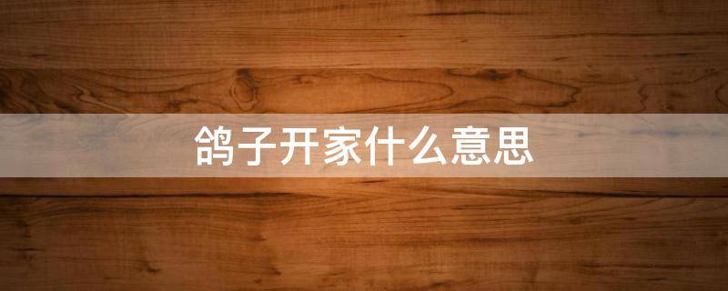 鸽子开家什么意思（小鸽子开家）
