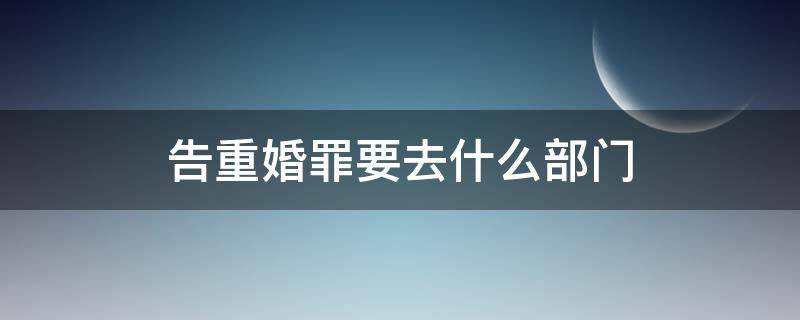 告重婚罪要去什么部门（告重婚罪需要去哪里告）