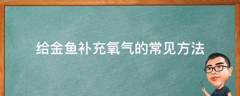 给金鱼补充氧气的常见方法（怎么给金鱼补充氧气）