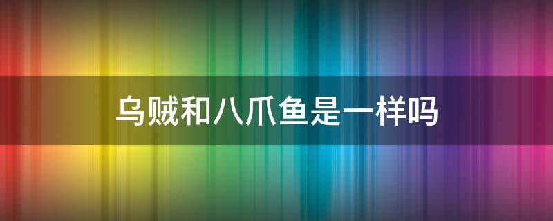 乌贼和八爪鱼是一样吗 乌贼与八爪鱼有啥区别