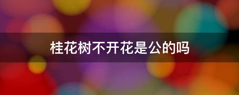 桂花树不开花是公的吗 公的桂花树是不是不开花