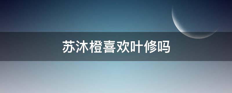 苏沐橙喜欢叶修吗（苏沐橙和叶修什么关系）