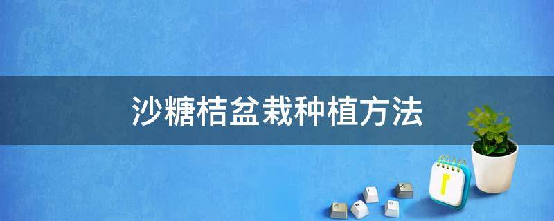 沙糖桔盆栽种植方法 沙糖桔的种植方法