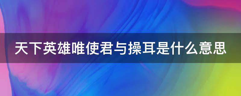 天下英雄唯使君与操耳是什么意思 天下英雄,唯使君尔