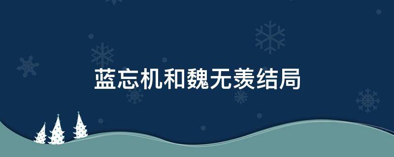 蓝忘机和魏无羡结局（蓝忘机和魏无羡结局在一起了吗）