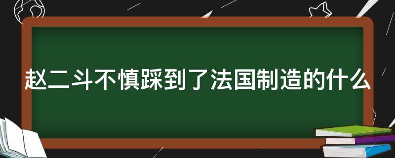 赵二斗不慎踩到了法国制造的什么（赵二斗不慎踩到了法国制造的什么又撞上美军路过盘问）