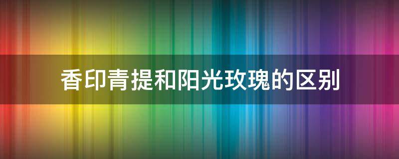 香印青提和阳光玫瑰的区别 香印青提和阳光玫瑰的区别,知乎