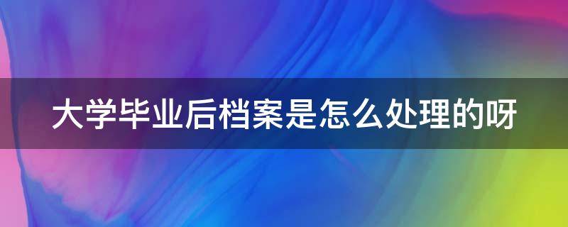 大学毕业后档案是怎么处理的呀 大学毕业后档案怎么处理?