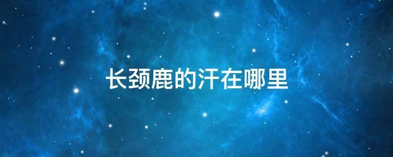 长颈鹿的汗在哪里 长颈鹿的汗在哪里?