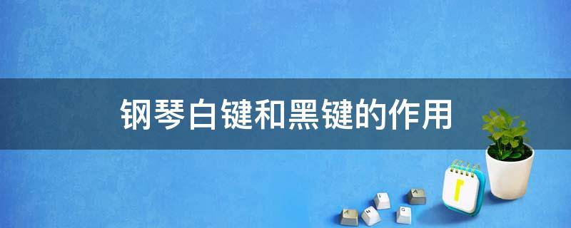 钢琴白键和黑键的作用（钢琴黑键和白键的作用区别）