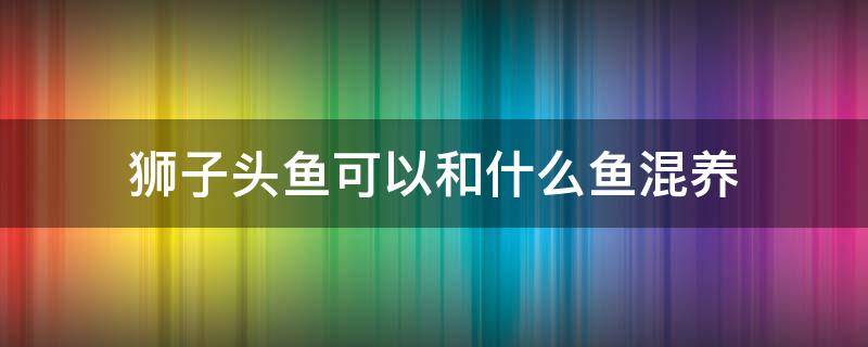 狮子头鱼可以和什么鱼混养（狮子头鱼和金鱼能混养吗）