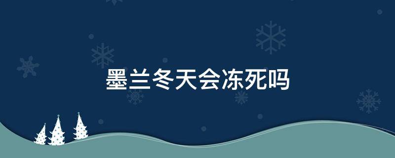 墨兰冬天会冻死吗 墨兰冬天怕冻吗