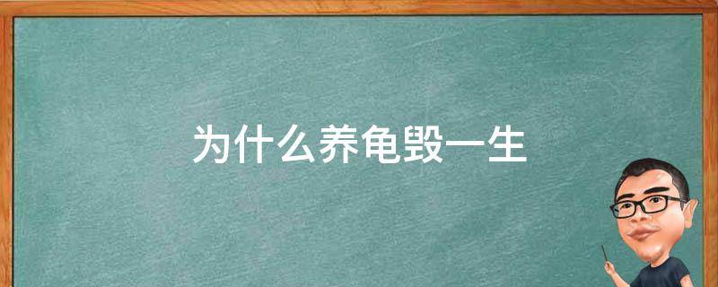 为什么养龟毁一生（为什么养龟毁一生莱顺清漆怎么样）