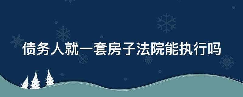 债务人就一套房子法院能执行吗（债务人就一套房子法院能执行吗怎么执行）