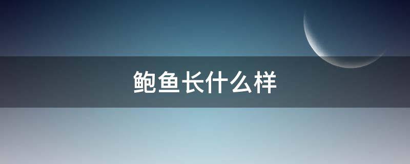 鲍鱼长什么样（鲍鱼长什么样子怎么吃?）