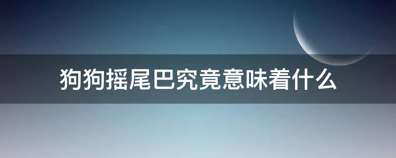 狗狗摇尾巴究竟意味着什么 狗狗摇尾巴是为了什么