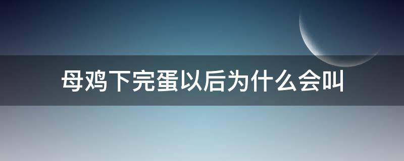 母鸡下完蛋以后为什么会叫（母鸡下完蛋以后为什么要叫）