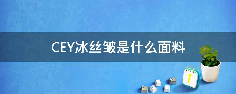 CEY冰丝皱是什么面料（cey冰丝皱面料穿上舒服吗）