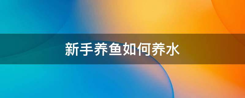 新手养鱼如何养水（新手养鱼如何养水,水里应该放什么）