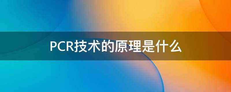 PCR技术的原理是什么（pcr技术的基本原理是什么）