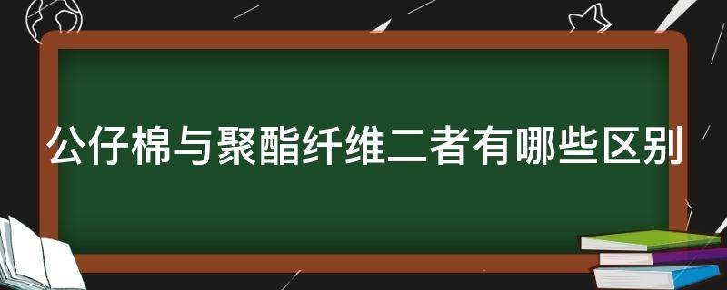 公仔棉与聚酯纤维二者有哪些区别（公仔棉与聚酯纤维二者有哪些区别呢）