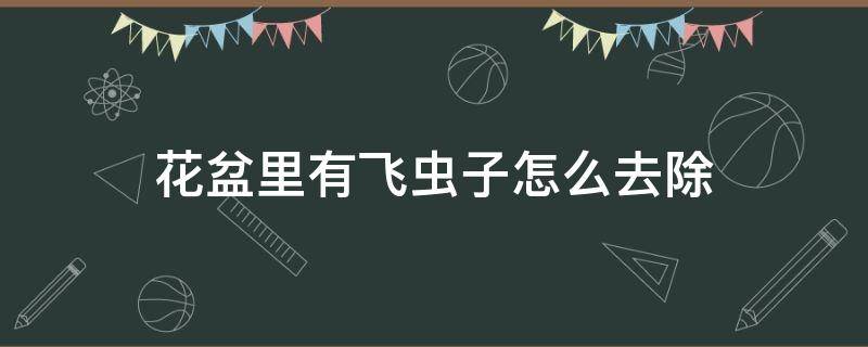 花盆里有飞虫子怎么去除 花盆土里有飞虫子怎么去除