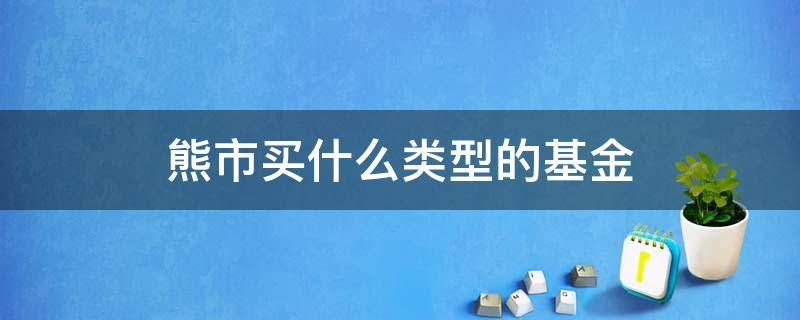 熊市买什么类型的基金（熊市基金要买入吗）