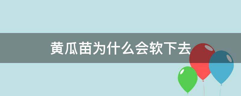 黄瓜苗为什么会软下去 黄瓜苗被晒软了还能活吗