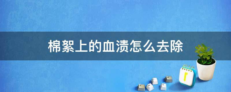 棉絮上的血渍怎么去除 棉絮上有血渍怎样清除